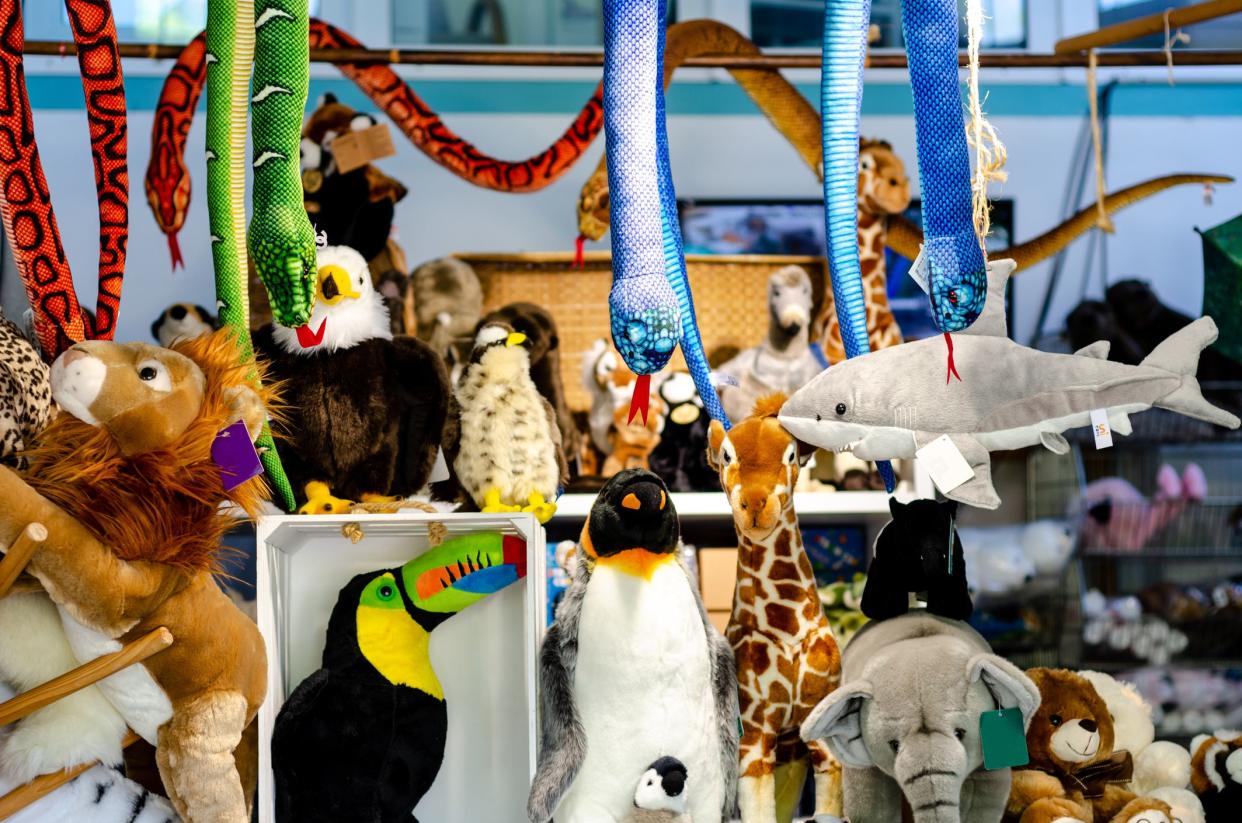 Numerous stuffed animals for sale in a toy store, snakes are hanging from the ceiling and many other animals displayed in unique ways, light blue wall in the background