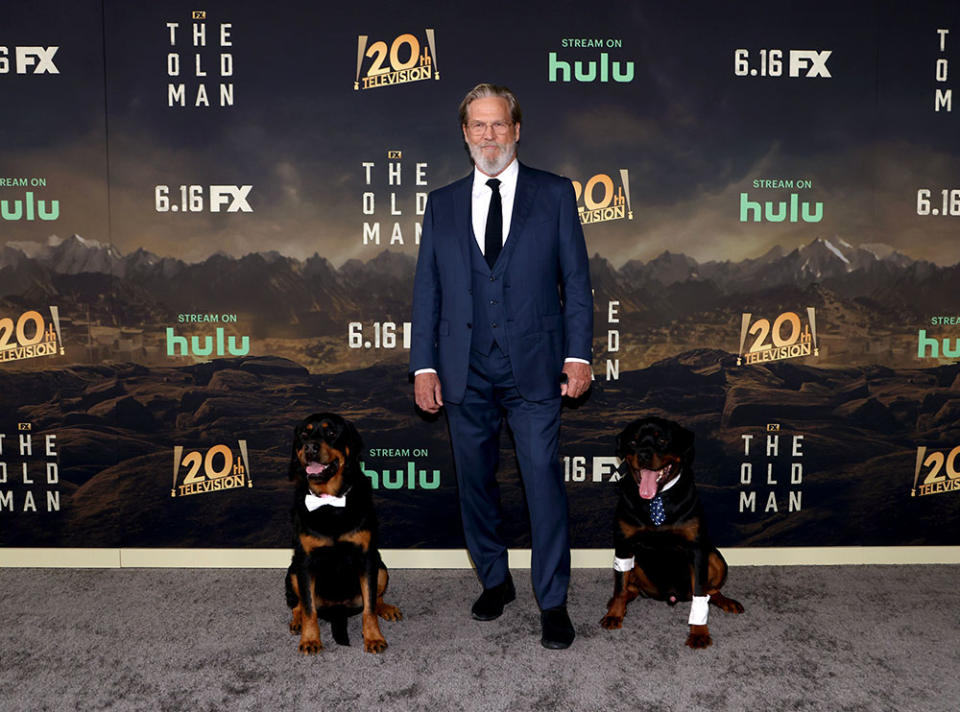 Jeff Bridges with dogs Freya and Cain - Credit: Tommaso Boddi/Getty Images