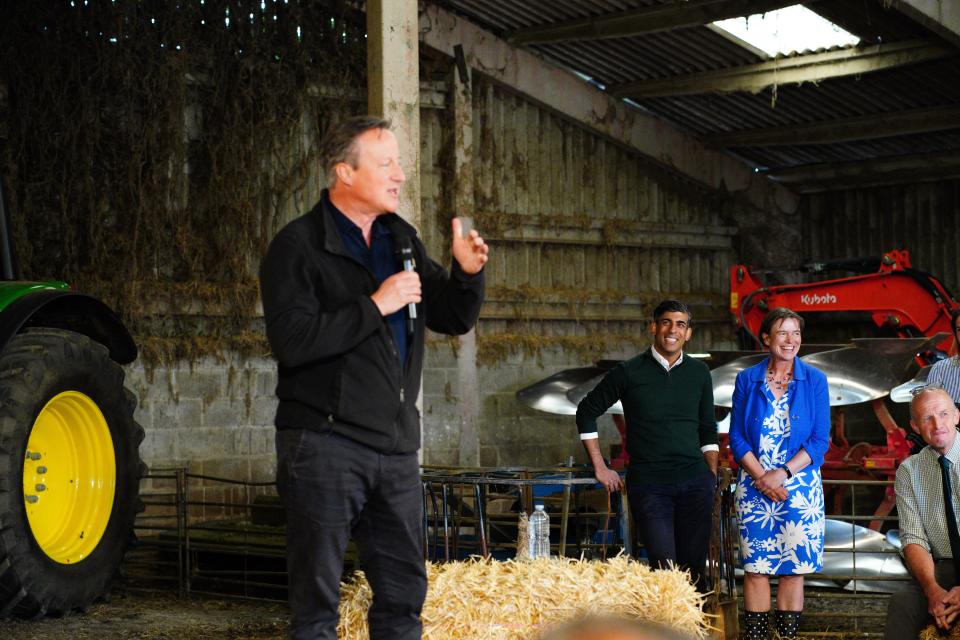 Foreign Secretary Lord David Cameron watched by Prime Minister Rishi Sunak as he answers questions during a visit to a farm in Devon (Ben Birchall/PA Wire)