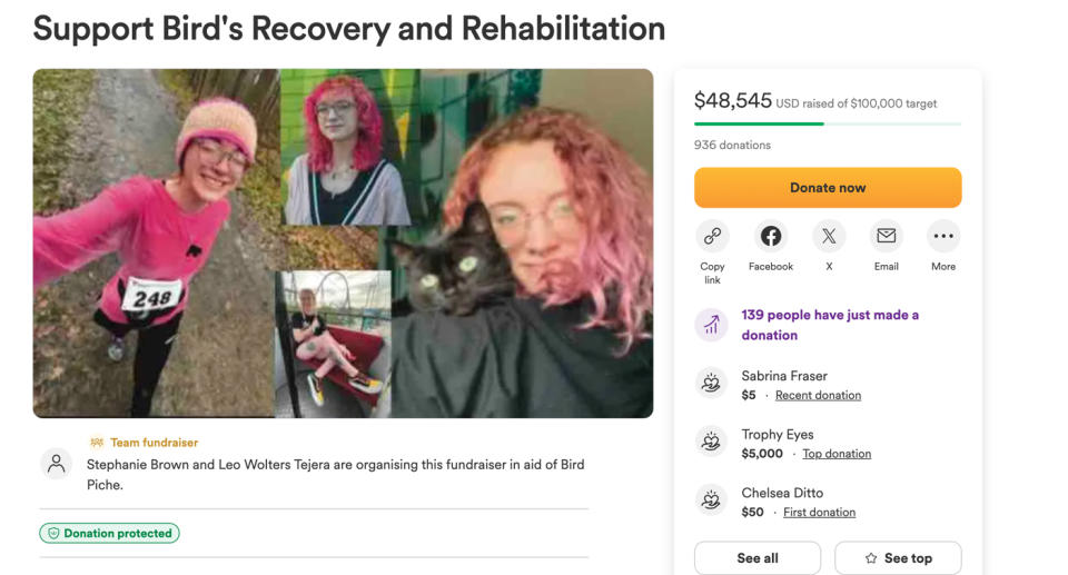 A screenshot of the GoFundMe page for Bird Piché.