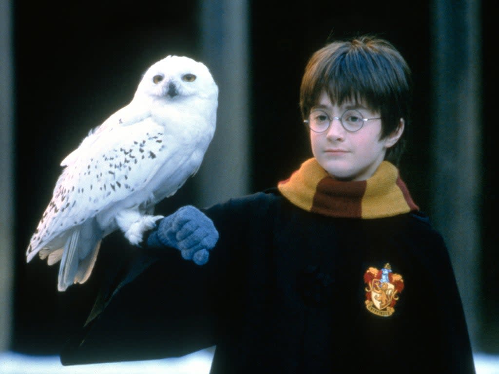 ‘I wanted kids who didn’t have a lot of experience’: Daniel Radcliffe and Hedwig the Owl in ‘Harry Potter and the Philosopher’s Stone' (Warner Bros/Photofest)