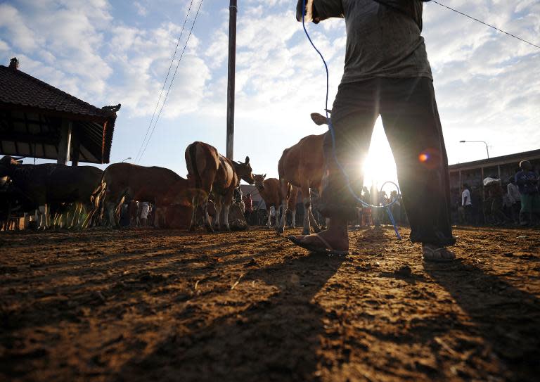 An Australian state government is to hold an inquiry into the exploitation of migrant workers after a television investigation revealed foreigners toiling in 'slave labour' conditions