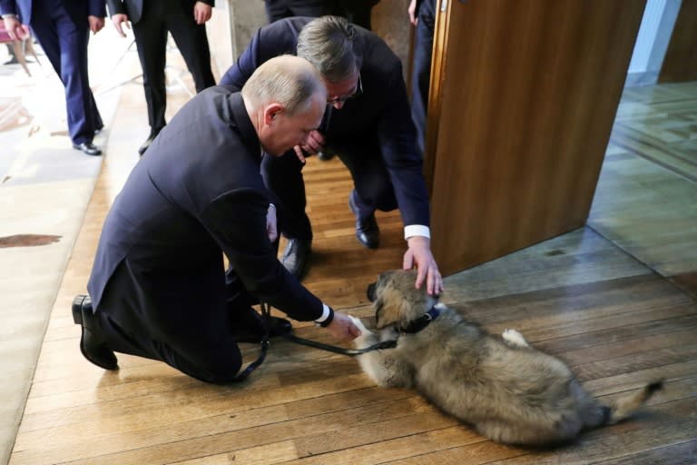 Serbian President Aleksandar Vucic presented a puppy to his Russian counterpart Vladimir Putin