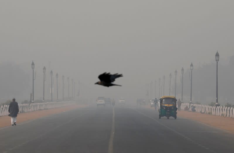 A bird flies amidst smog near India's Presidential Palace in New Delhi