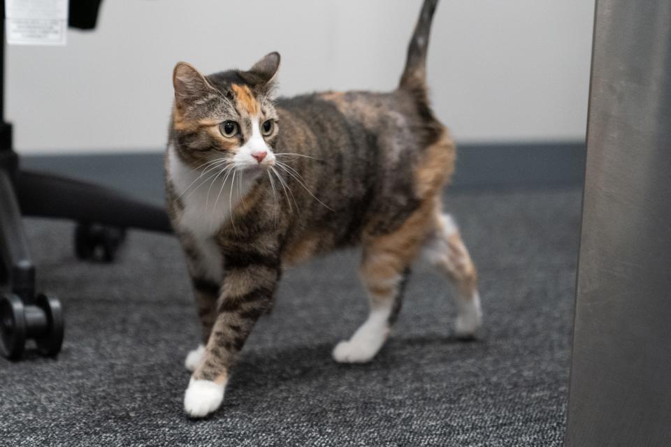 Sarin stretches her legs inside an American Airlines baggage claim office at Kansas City International Airport after Thursday's long day of traveling from Colorado to to Arizona to Missouri and later, home to Topeka.