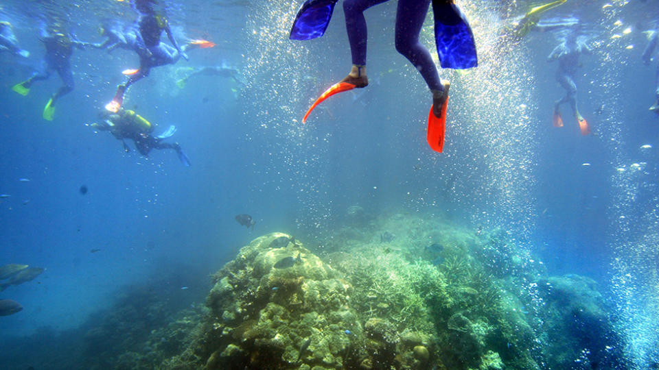 Australia's Great Barrier Reef is facing heat stress in the coming weeks, following widespread coral bleaching. Source: Getty