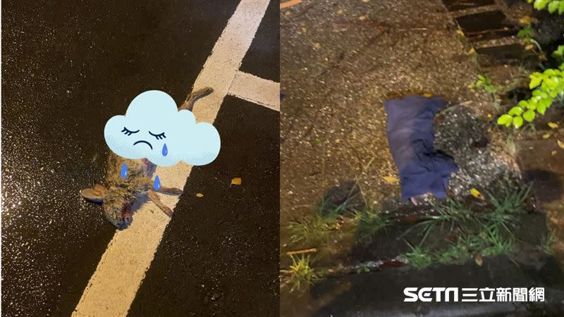 可憐的兔寶寶慘遭路殺，一名熱心男子脫下上衣給牠包裹遺體。（組圖／犬山居授權提供）