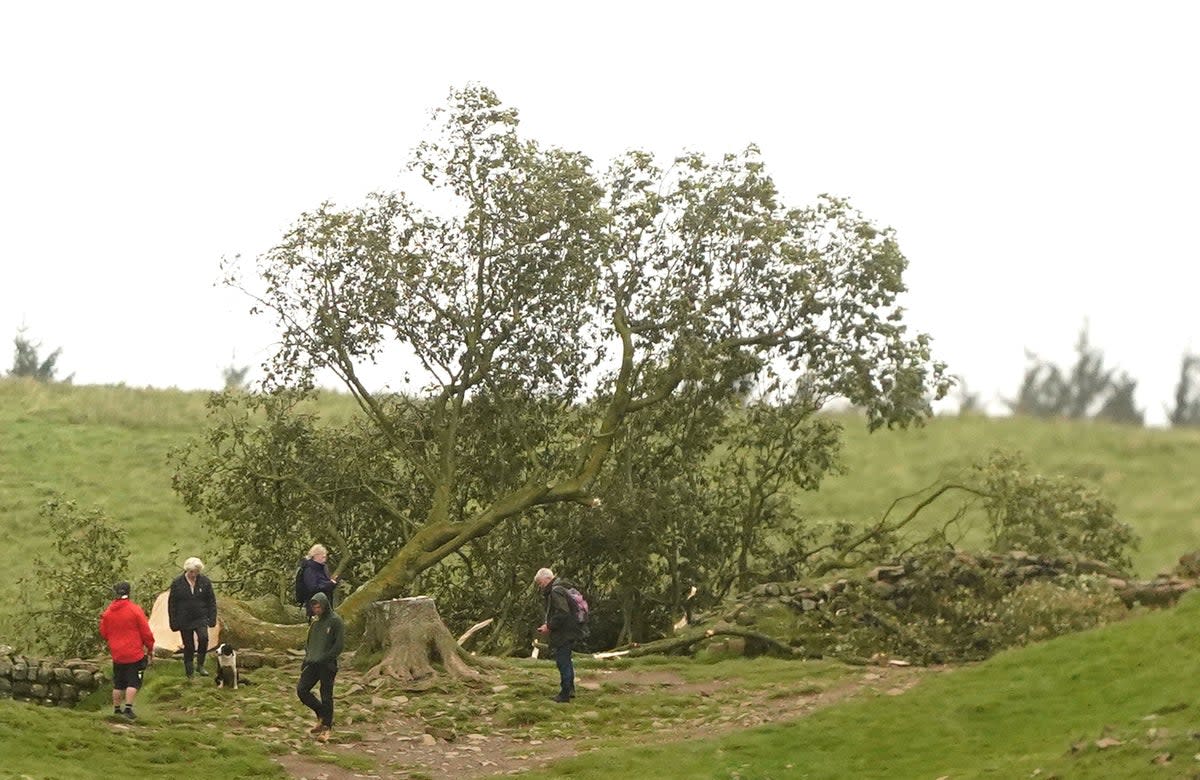 National Park and National Trust workers must deal with a startling act of vandalism (PA)