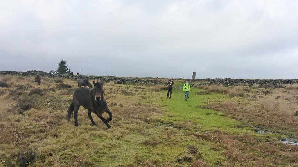 Dartmoor trail running