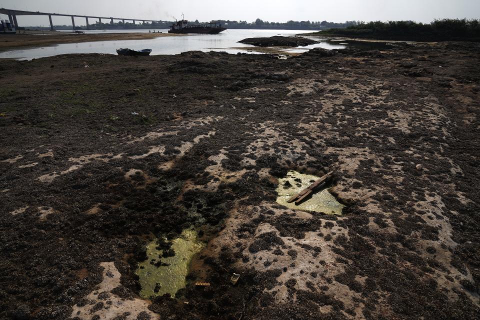 Mollusks cover the exposed bed of the San Francisco stream that reaches the Paraguay river amid a historic drought that is affecting its levels, in Mariano Roque Alonso, Paraguay, Monday, Sept. 20, 2021. (AP Photo/Jorge Saenz)