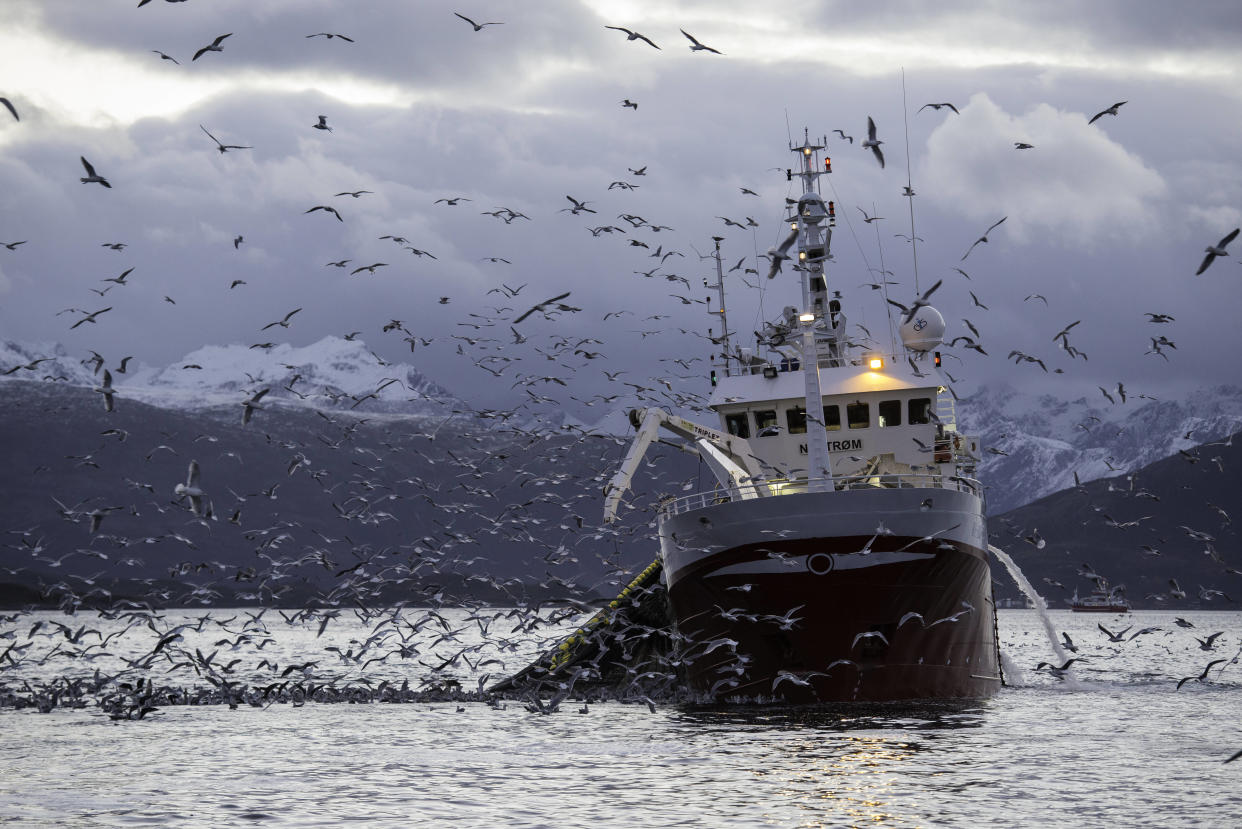 Les aires marines protégées « à la française » n’interdisent pas la pêche, y compris les méthodes industrielles. Photo d’illustration.