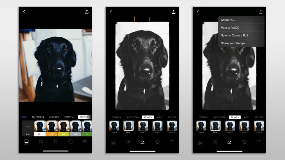 Three screenshots showing a pet photo being edited in the VSCO app
