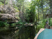 <p>The Lodge has complete privacy, surrounded by trees and waterfalls. (Team Haliburton Highlands at RE/MAX) </p>