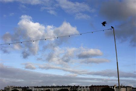 A bird lands at the seafront in Portsmouth November 25, 2013. The British shipbuilding industry has been through a turbulent time after defence contractor BAE Systems announced in November that it planned to lay off 1,775 ship workers across the UK. REUTERS/Stefan Wermuth