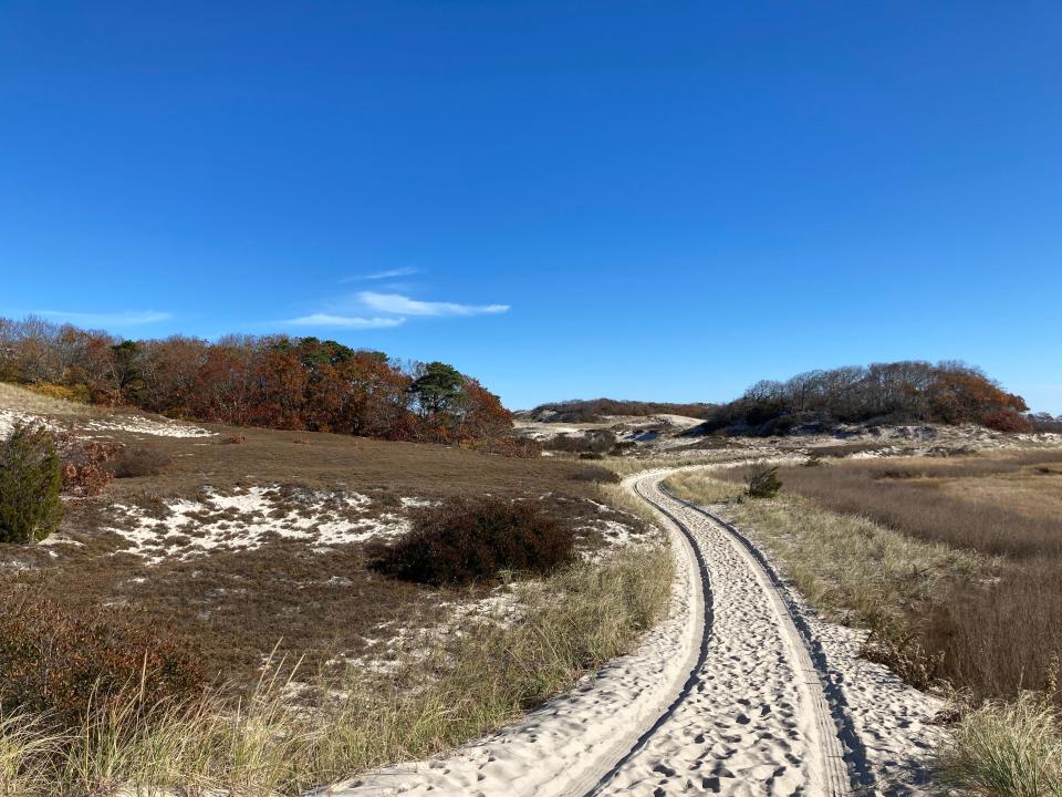 Along the epic Marsh Trail at Sandy Neck Beach Park in West Barnstable.
