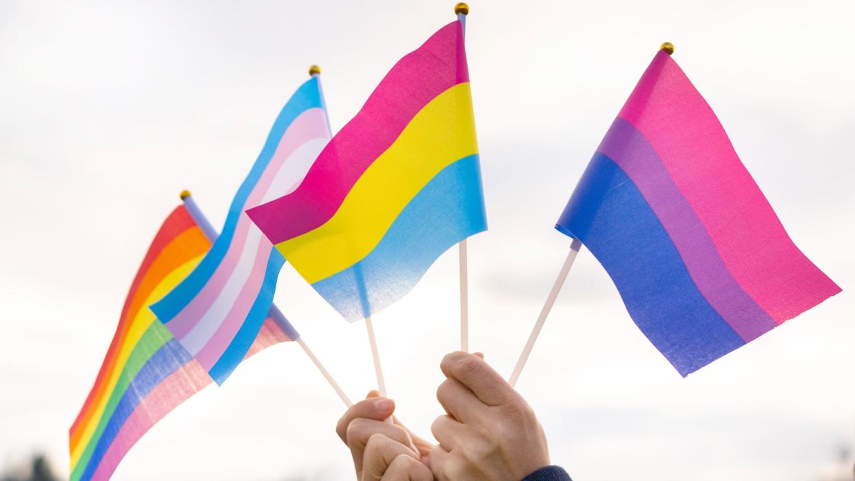 From L to R: The traditional Pride Flag; the Transgender Flag; the Pansexual Flag; and the Bisexual Flag.