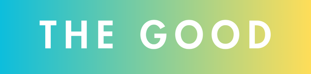 Gradient banner reading "THE GOOD" for a book-related article