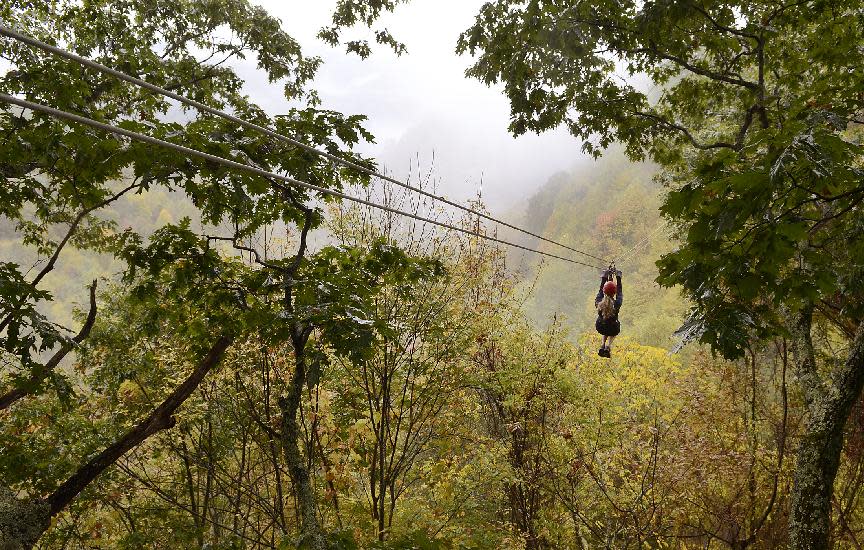 In this photo taken October 17, 2013 Holly Raymond, of the Tampa Bay, Fla., area flies through the colorful misty trees at Navitat Canopy Adventures in Barnardsville, N.C. While colors in the northern, higher elevations of South Carolina are still emerging, trees are exploding with color at the upper elevations in western North Carolina. (AP Photo/John D Simmons, Charlotte Observer) MAGS OUT; TV OUT; NEWSPAPER INTERNET ONLY