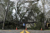 An East Sacramento resident crosses the street in front of a tree blocking H Street near 36th Street in Sacramento, Calif., Sunday, Jan. 8, 2023. The weather service's Sacramento office said the region should brace for the latest atmospheric river to roar late Sunday and early Monday ashore. (Sara Nevis/The Sacramento Bee via AP)