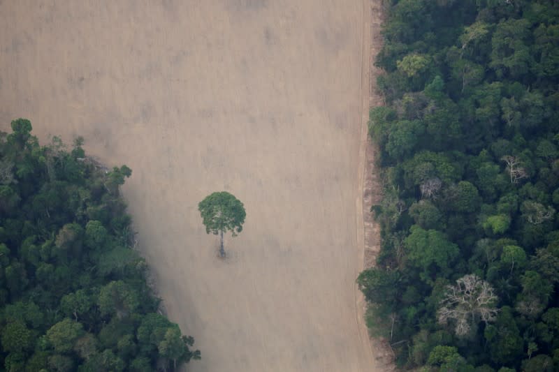 An aerial view shows a deforested plot of the Amazon near Porto Velho