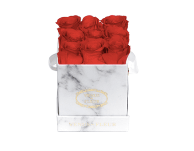 <p>A luxury flower experience for the lucky lady (or guy!) in your life.</p><p><strong><a href="https://go.skimresources.com?id=113896X1572730&xs=1&url=https%3A%2F%2Fwww.venusetfleur.com%2Fproducts%2Fmini-square-white-marble%3Fcj_cid%3D5370367%26cjdata%3DMXxOfDB8WXww%26cjevent%3Dc77b41f6758211ed8320b0bf0a1c0e0e%26variant%3D39415464099884&sref=parade.com%2Fshopping%2Fbest-gifts-under-100" rel="noopener" target="_blank" data-ylk="slk:Le Mini Square, $98 at Venus ET Fleur;elm:context_link;itc:0;sec:content-canvas" class="link ">Le Mini Square, $98 at Venus ET Fleur</a></strong></p><p>Venus ET Fleur</p>