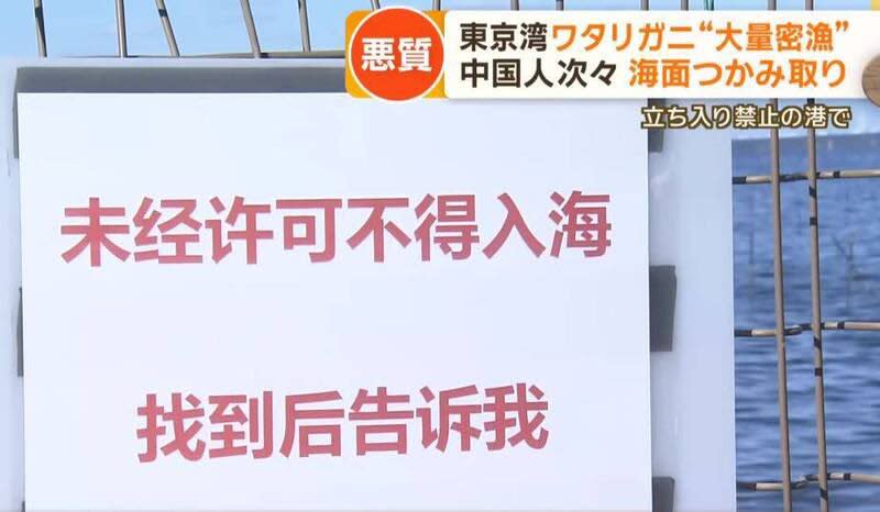 口嫌體正直？中國漁民擅闖東京灣「盜撈梭子蟹」日漁民氣炸批：別來亂