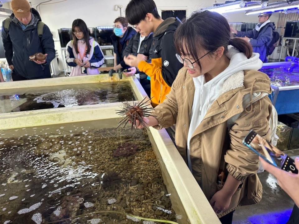 《圖說》復育園區導覽活動深受民眾所喜愛的海洋生物零距離接觸體驗。〈漁業處提供〉