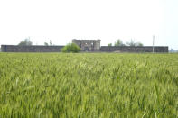 Why the monument gets a life of its own in April with swaying wheat fields.