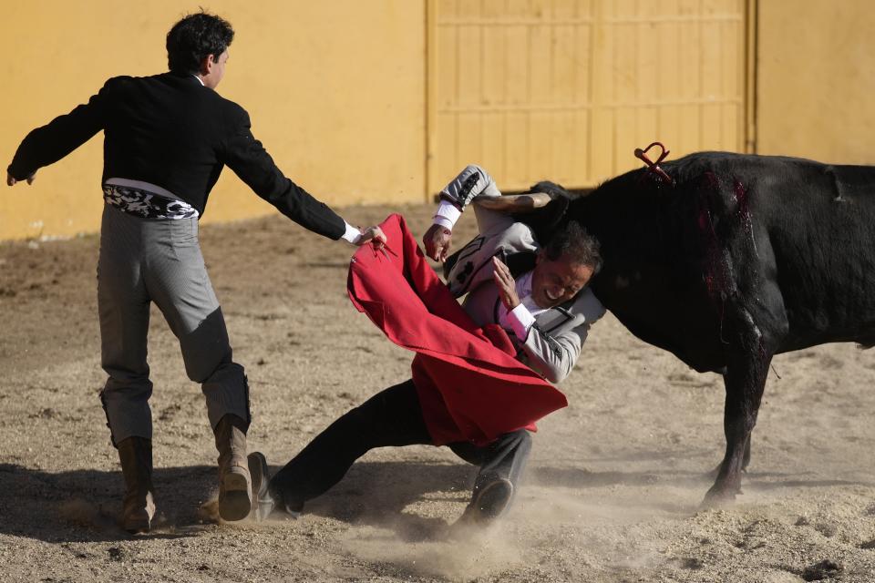 Matador Jelain Fresneda, also known by his bullfighting name of Gitanillo de America, is gored during a bullfight at the Hacienda Vista Hermosa bullring in Villa Pinzón, Colombia, Saturday, Feb. 25, 2023. Fresneda recovered to the applause of the crowd and later killed the bull with a sword thrust to the back of its neck. (AP Photo/Fernando Vergara)