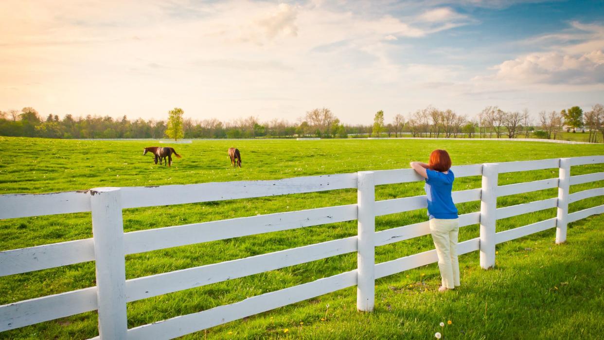 woman watching horses in Kentucky