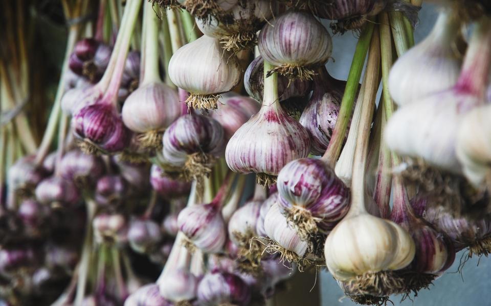 Onions (both red and white) can be dried in boxes, but they also look beautiful strung up in bunches to dry - Getty Images 