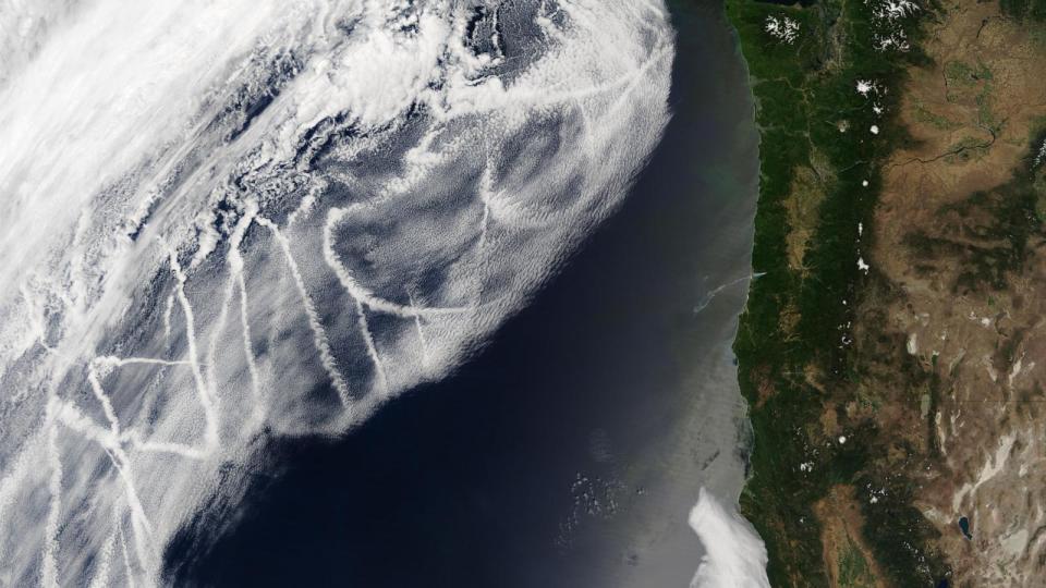 PHOTO: Over the northeastern Pacific Ocean, low clouds form the backdrop for dozens of ship tracks. Ship tracks are a certain type of water cloud formed in the wake of ships under very specific criteria. Satellite image from June 28, 2003. (MODIS Rapid Response Team, NASA/GSFC)