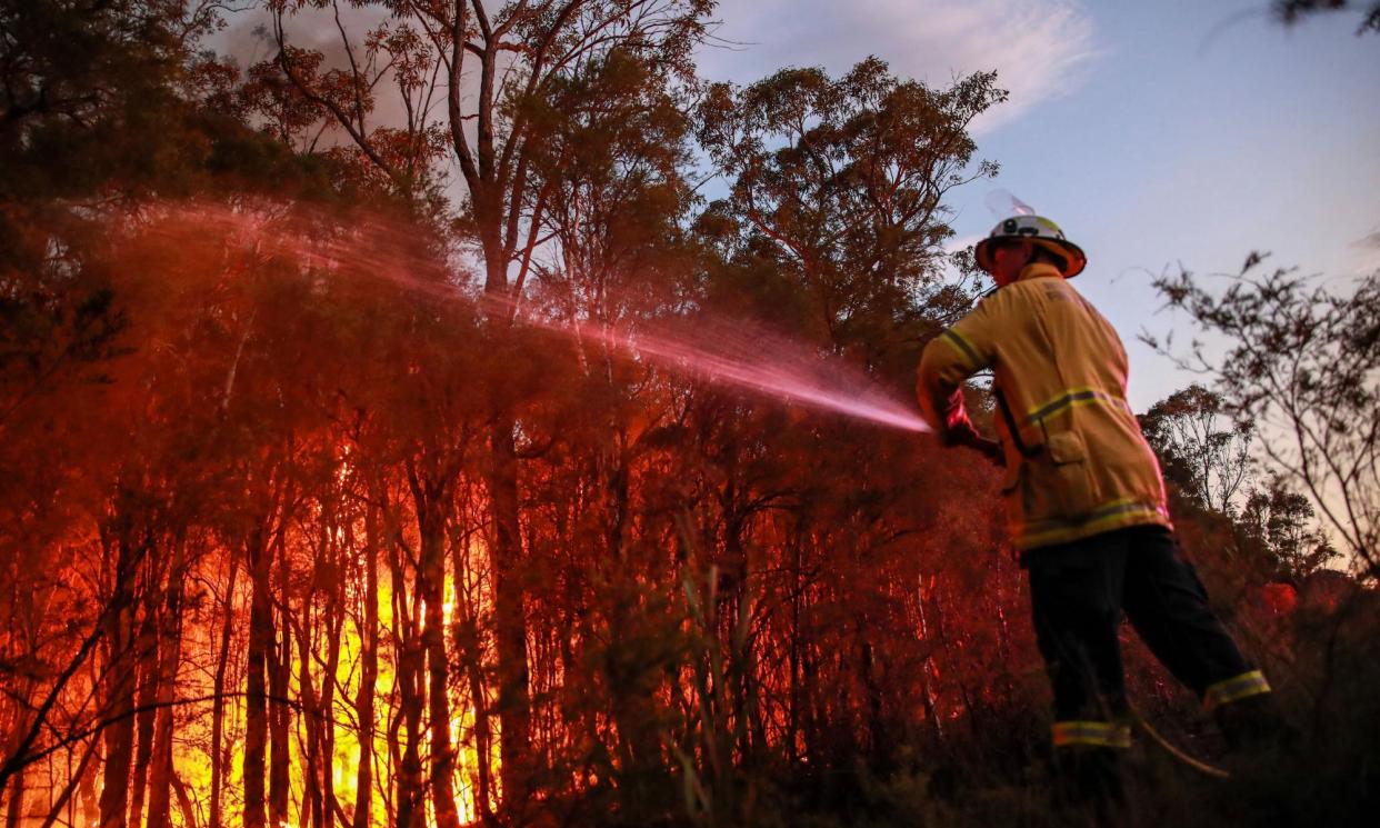 <span>Photograph: Roni Bintang/Getty Images</span>