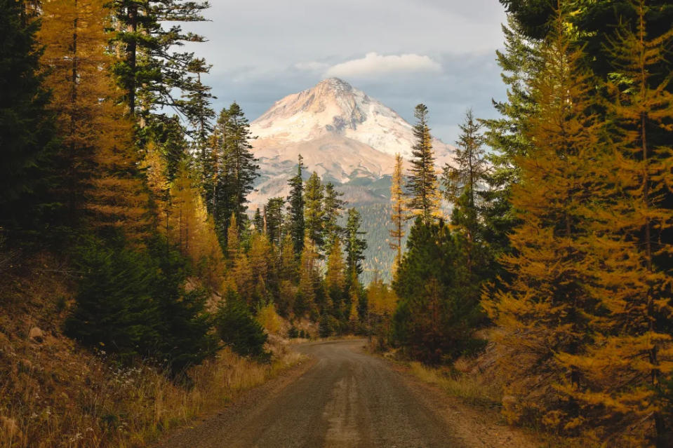 Beautiful scene from the Mount Hood National Forest. Mount Hood is Oregon’s crown jewel via Getty Images