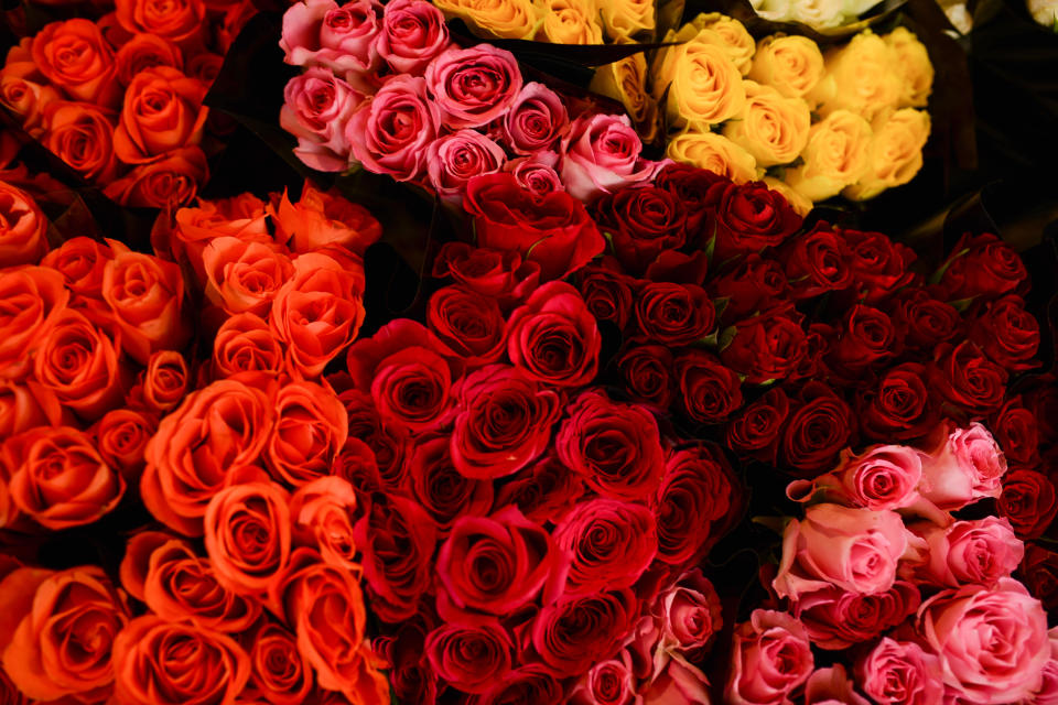 <p>Die einzelne rote Rose mit langem Stiel ist das ultimative Zeichen für Liebe. In weiß bedeuten Rosen Unschuld, Treue und Verehrung, weshalb es beliebte Blumen für Brautsträuße und Hochzeitsblumenschmuck sind. Weiße Rosen stehen außerdem für Verschwiegenheit, weshalb sich auch die Widerstandsgruppe ‚Weiße Rose’ im Dritten Reich diesen Namen gab. Rosa- und pfirsichfarbene Rosen sind ein Zeichen für Dankbarkeit und auch für Bewunderung. Sind die Blüten der Rose in einem Orange oder Lachston gehalten, symbolisiert sie Lust und Begeisterung. (Bild: Getty Images) </p>
