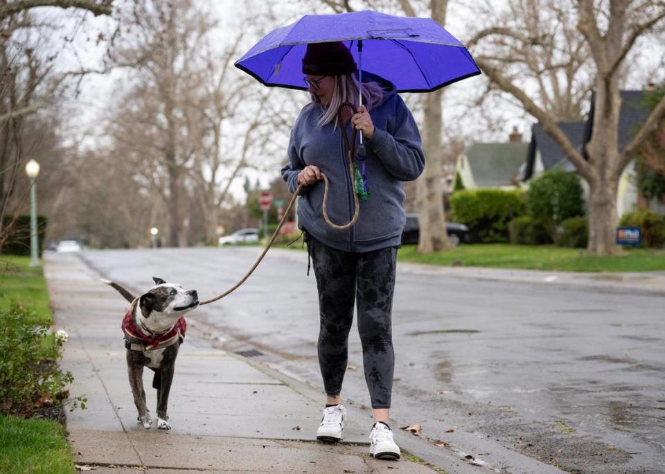 Pet sitter Kristine Stoflet of Peaceful Pets walks Lola in the rain in East Sacramento on Wednesday, Jan. 31, 2024. Another round of winter storms is forecast for California as an atmospheric river makes landfall on the West Coast, according to the National Weather Service.