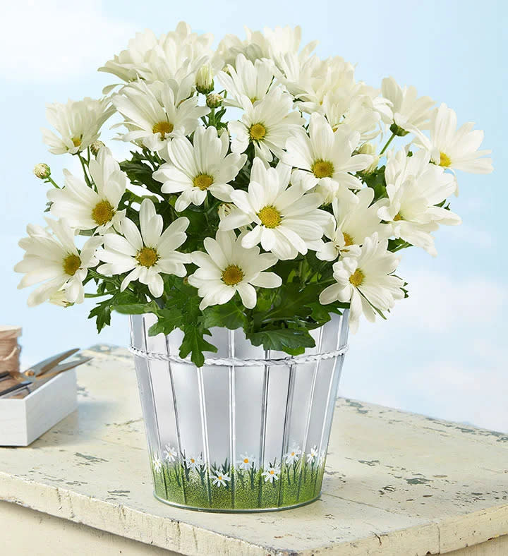 Happy Daisy. Image via 1-800-Flowers.