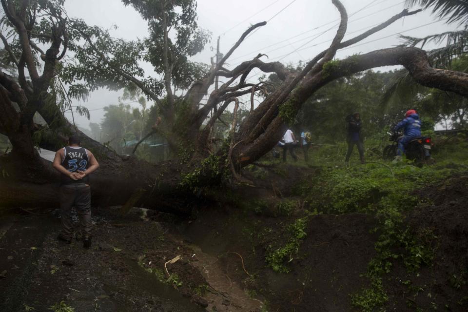 <p>A man walks by a fallen tree after the passing of Storm Nate on the road to Masaya in Managua, Nicaragua on Oct. 6, 2017. (Photo: Jorge Torres/EFE via ZUMA Press) </p>