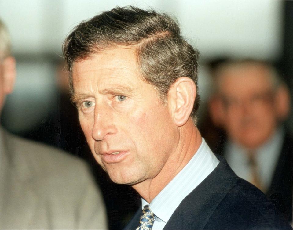 Prince Charles in 1997, the same year The Crown season six takes place (PA)