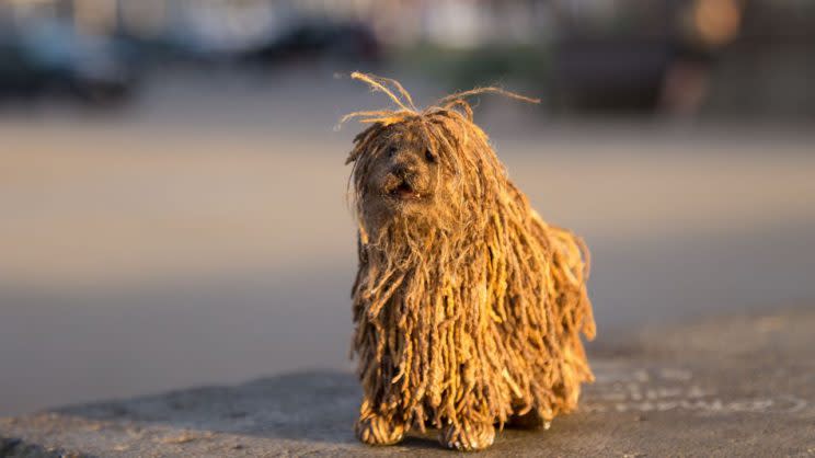 Soshee está inspirado en la mascota del creador de la red social Facebook y reacciona ante las notificaciones del smartphone. Foto: YouTube