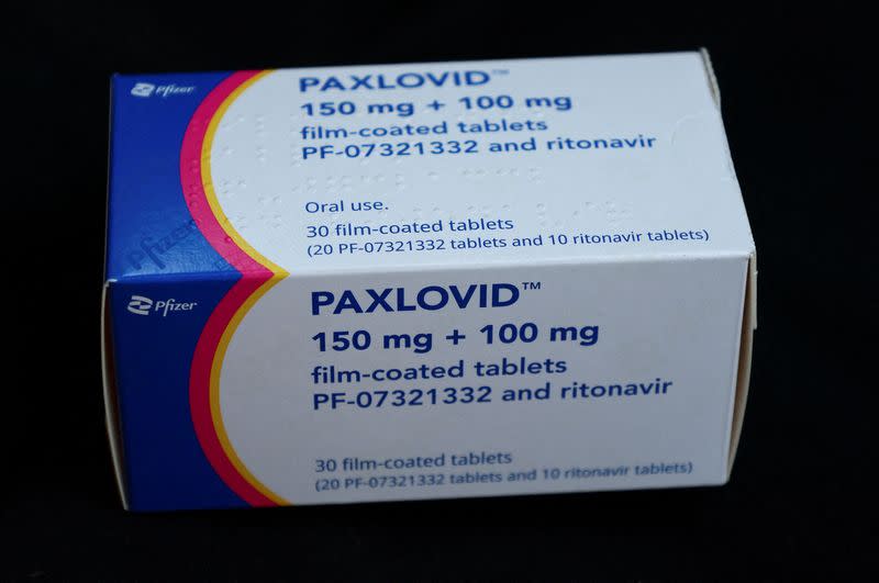 Paxlovid is shown in this picture illustration