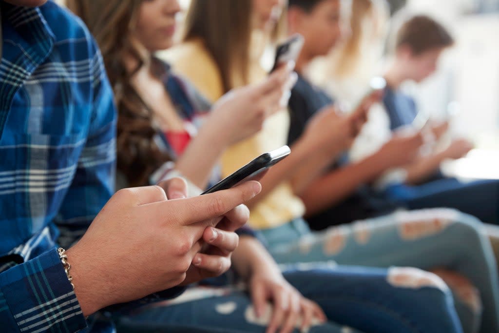 ‘We’ll only widen the learning gap if we continue to allow Facebook, SnapChat and Whatsapp to compete against maths, physics and biology for the precious attention of our students’ (Getty Images/iStockphoto)