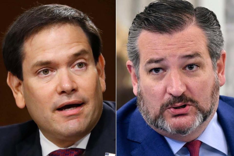 Senator Marco Rubio of Florida and Senator Ted Cruz of Texas: AP