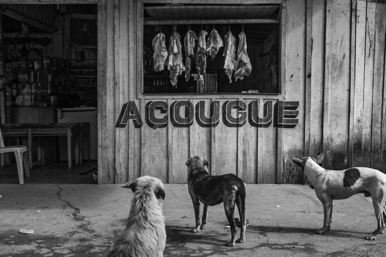 This image provided by World Press Photo, part of a series titled Amazonian Dystopia, by Lalo de Almeida for Folha de Sao Paulo/Panos Pictures which won the World Press Photo Long-Term Project award,, shows Stray dogs stare at meat hanging in a butcher's shop in Vila da Ressaca, an area previously mined for gold but now almost completely abandoned, in Altamira, Para, Brazil, on Sept. 2, 2013. (Lalo de Almeida for Folha de Sao Paulo/Panos Pictures/World Press Photo via AP)