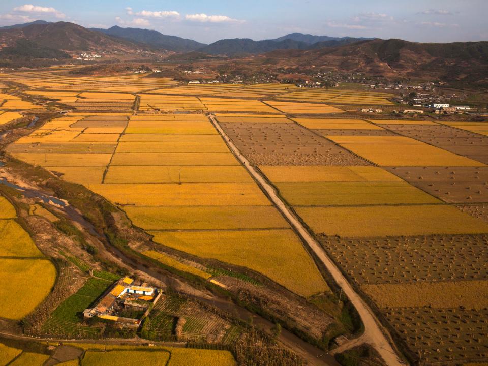 north korea farmland