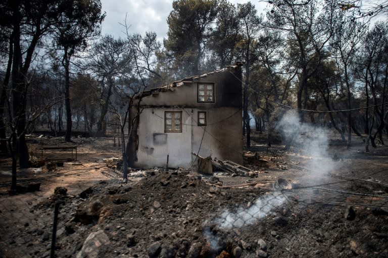 Huge pines and overgrown gardens helped the fire spread