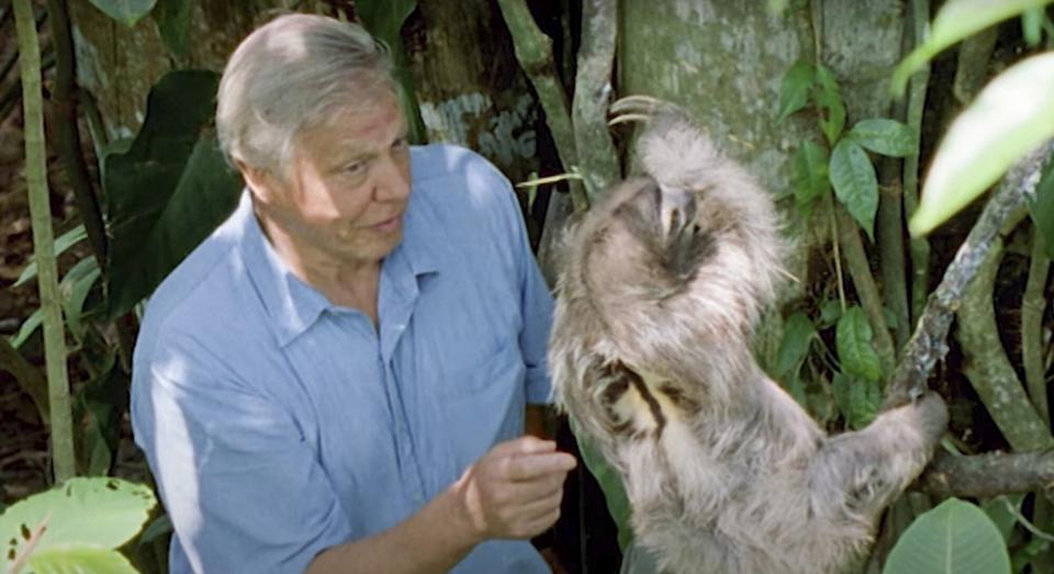 Sir David Attenborough's best moments