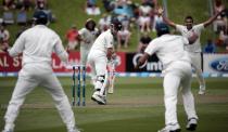 India's players celebrate around New Zealand's Kane Williamson (C) during day one of the second international test cricket match at the Basin Reserve in Wellington, February 14, 2014. Williamson was ruled as not out. REUTERS/Anthony Phelps (NEW ZEALAND - Tags: SPORT CRICKET)