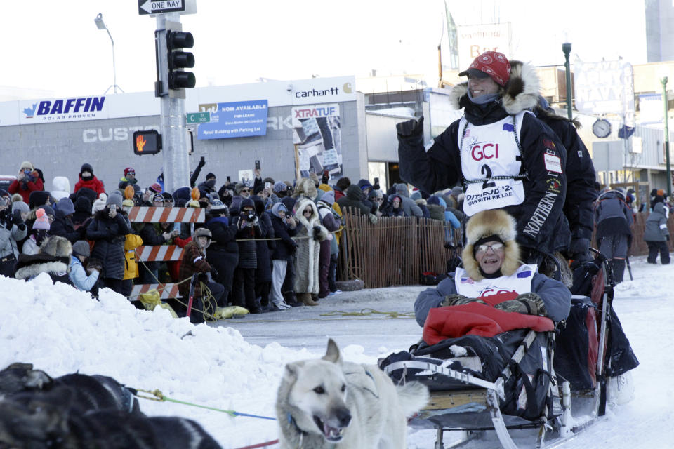 Musher Anna Berington, wearing big No. 2, takes an auction winner in her sled 11 miles over the streets of Anchorage, Alaska, during the Saturday, March 2, 2024, ceremonial start of the Iditarod Trail Sled Dog Race. The 1,000-mile race will take mushers and their dog teams a thousand miles over Alaska's unforgiving terrain, with the winner expected at the finish line in Nome, Alaska, in about 10 days. (AP Photo/Mark Thiessen)