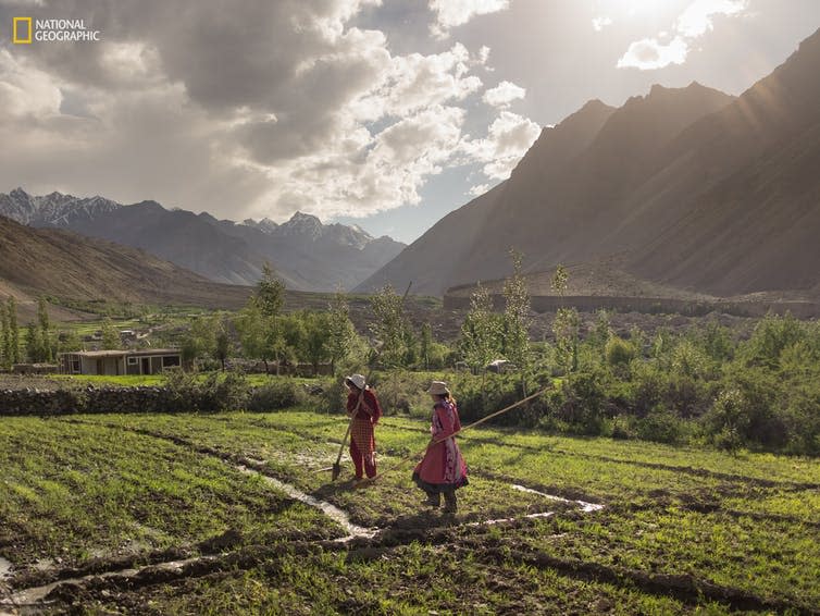 <span class="caption">Potato crops in the Chipursan valley, Pakistan, are irrigated by the Indus water tower.</span> <span class="attribution"><span class="source">Matthew Paley/National Geographic</span>, <span class="license">Author provided</span></span>